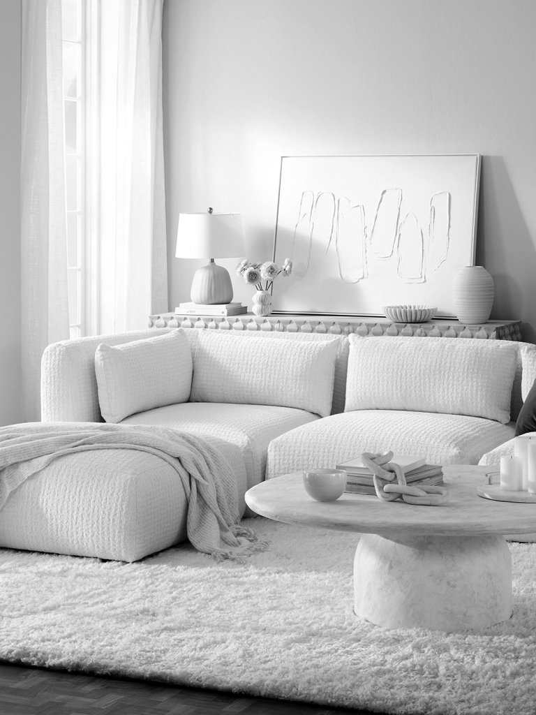 black and white living room photo