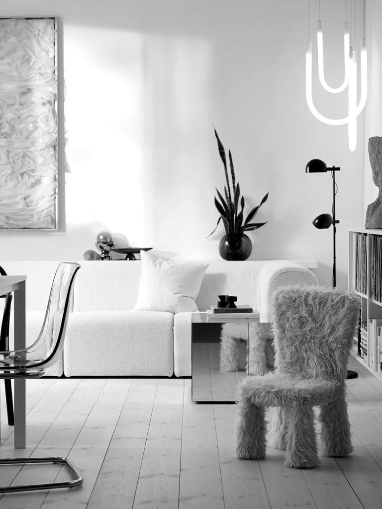 black and white living room photo
