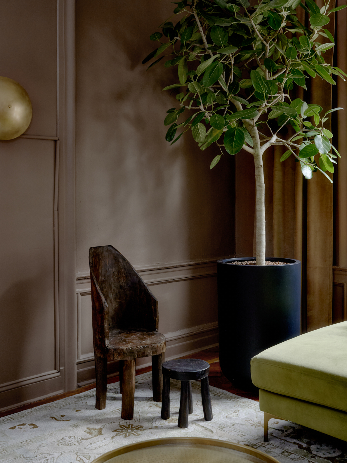 tree and chair in brooklyn