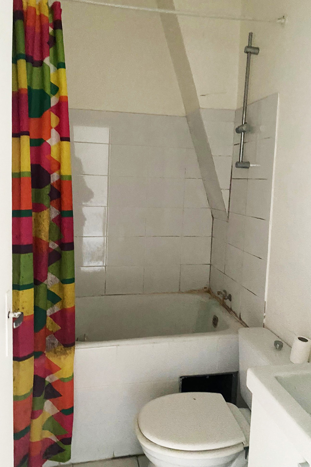 before-montmartre-paris-bathroom-before-and-after-domino-01