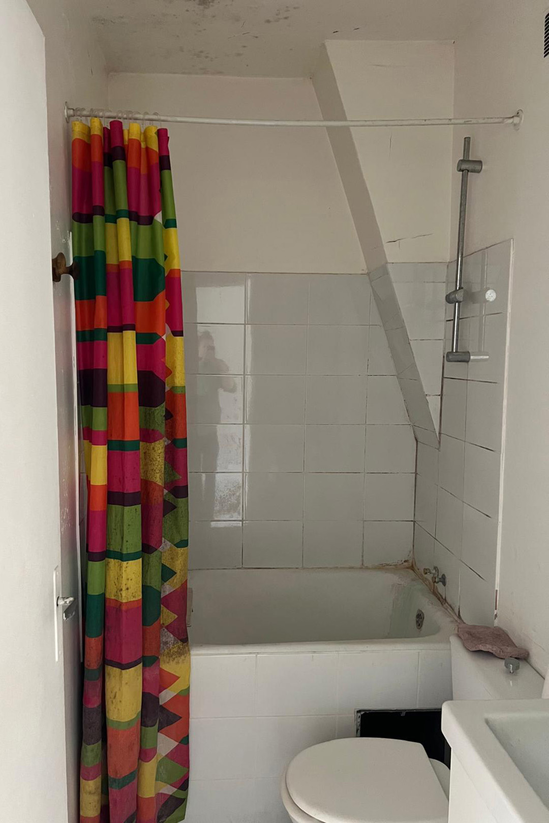 before-montmartre-paris-bathroom-before-and-after-domino-04