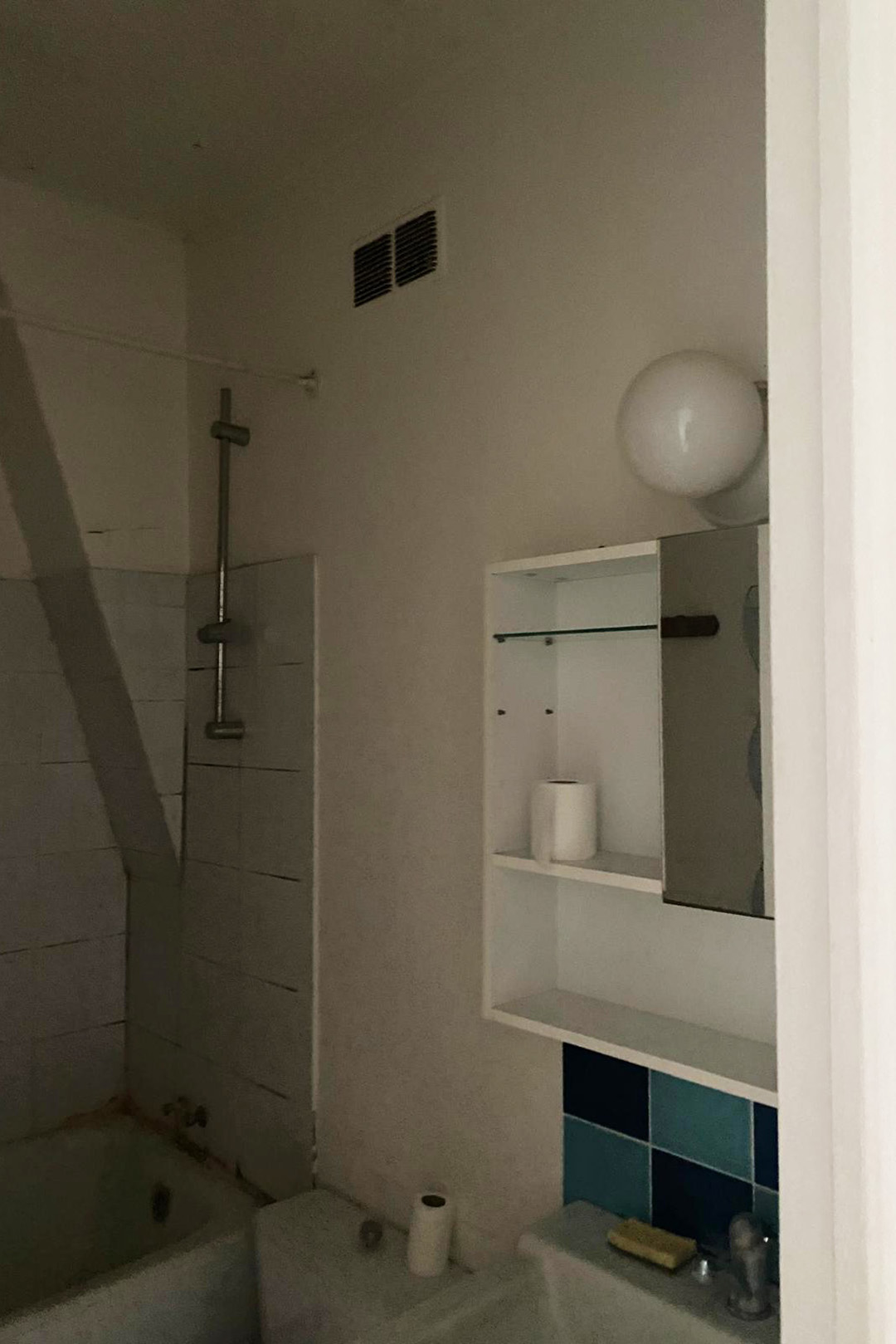 before-montmartre-paris-bathroom-before-and-after-domino-05