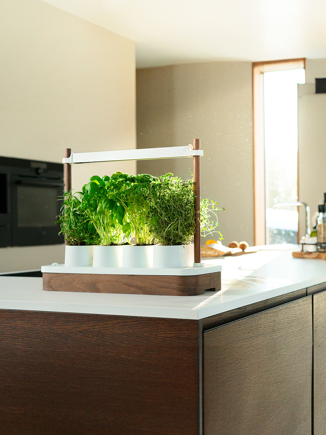 white and wood planter with herbs on a counter