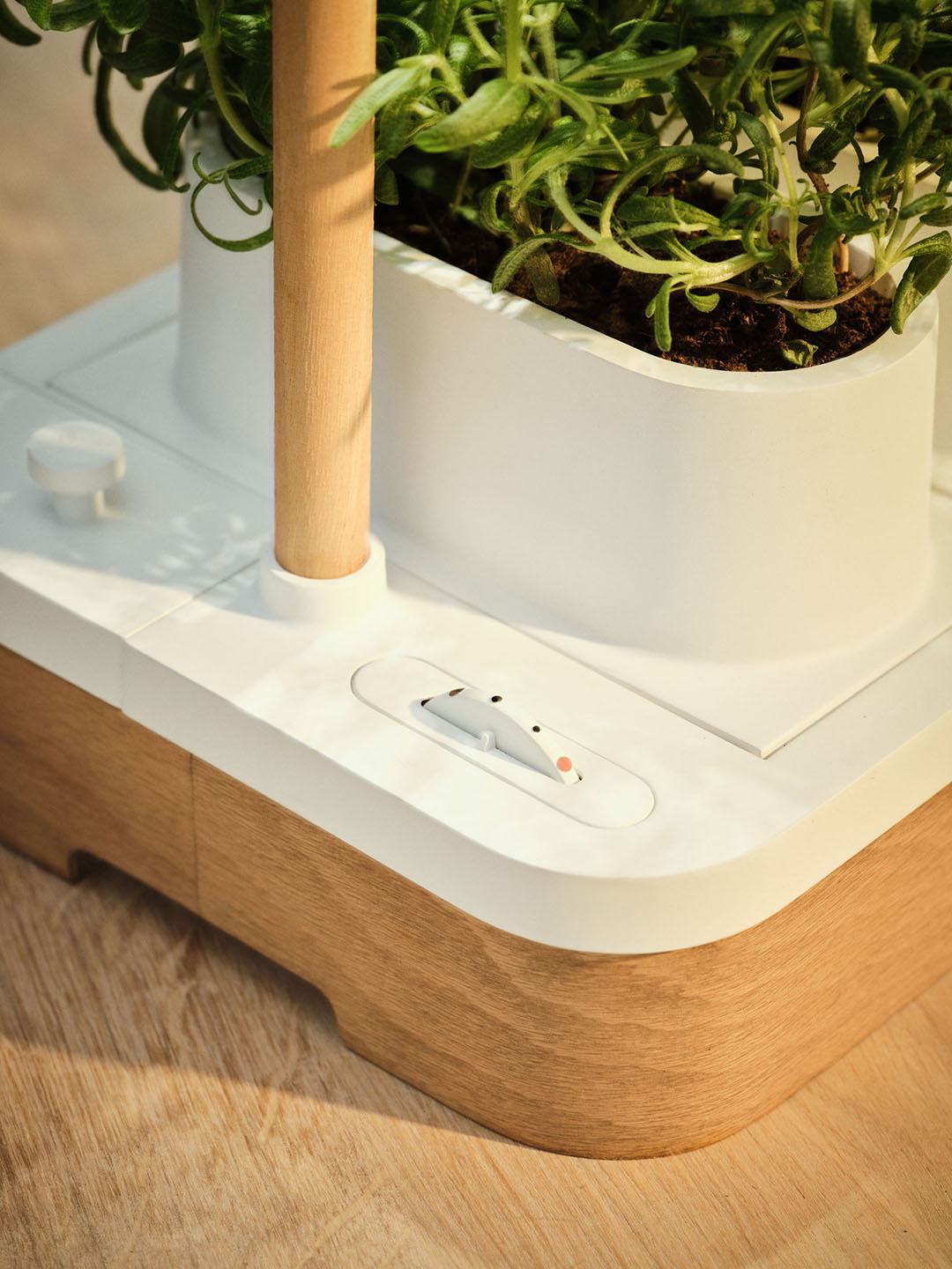 close-up of white and wood planter base