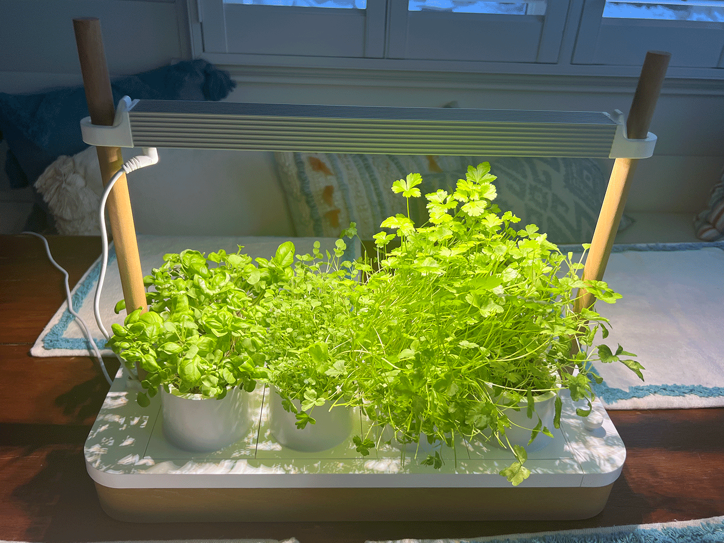 gif of a planter with lights on and off