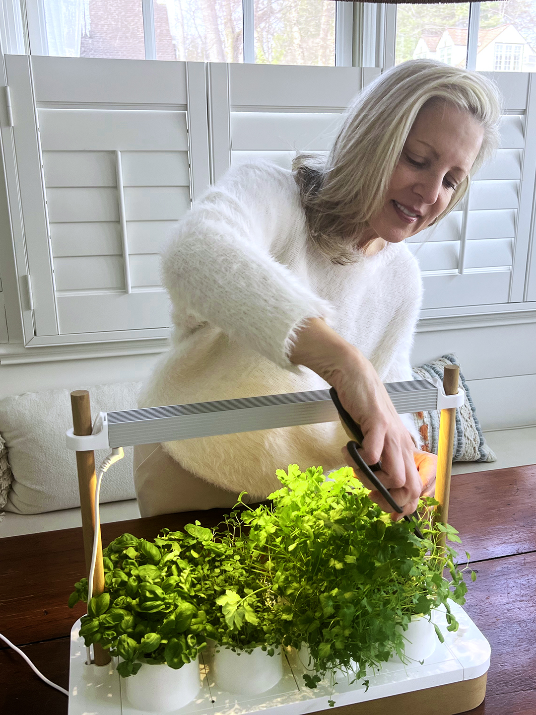 woman trimming herbs in tabletop planter