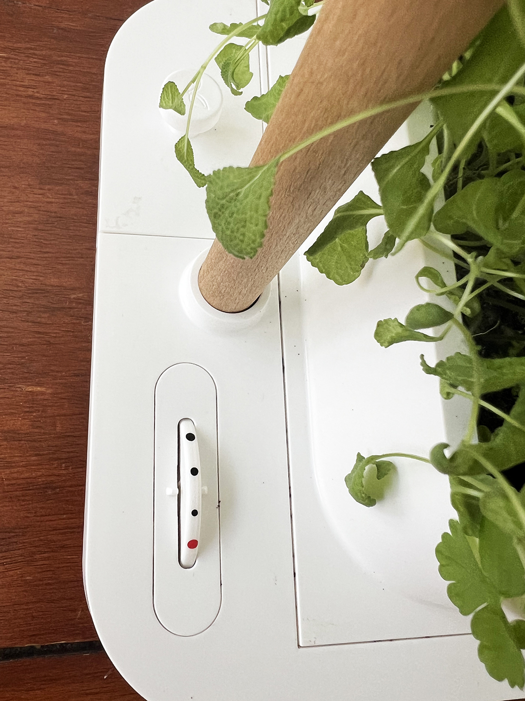 detail of dial on a tabletop planter