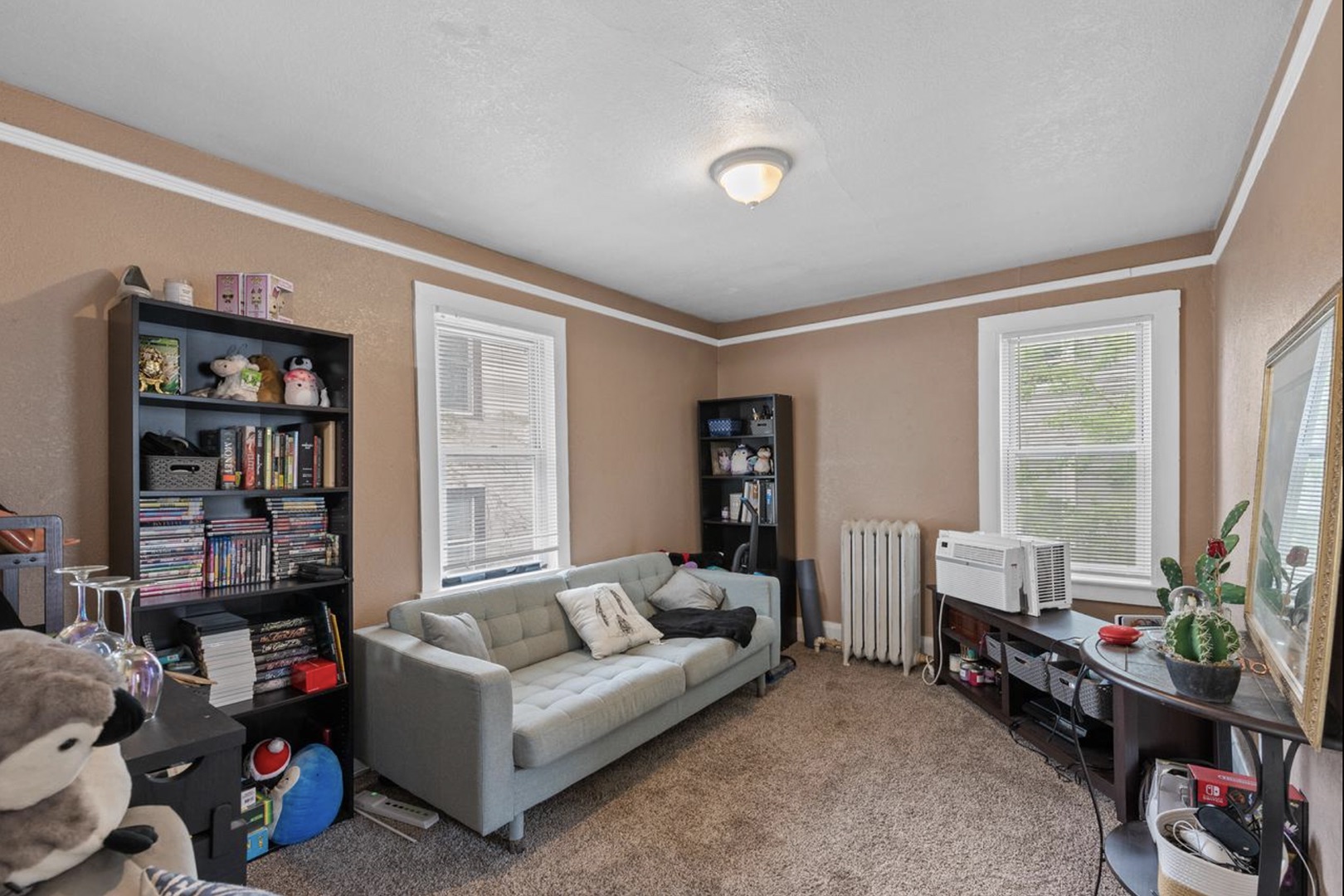 tan brown living room