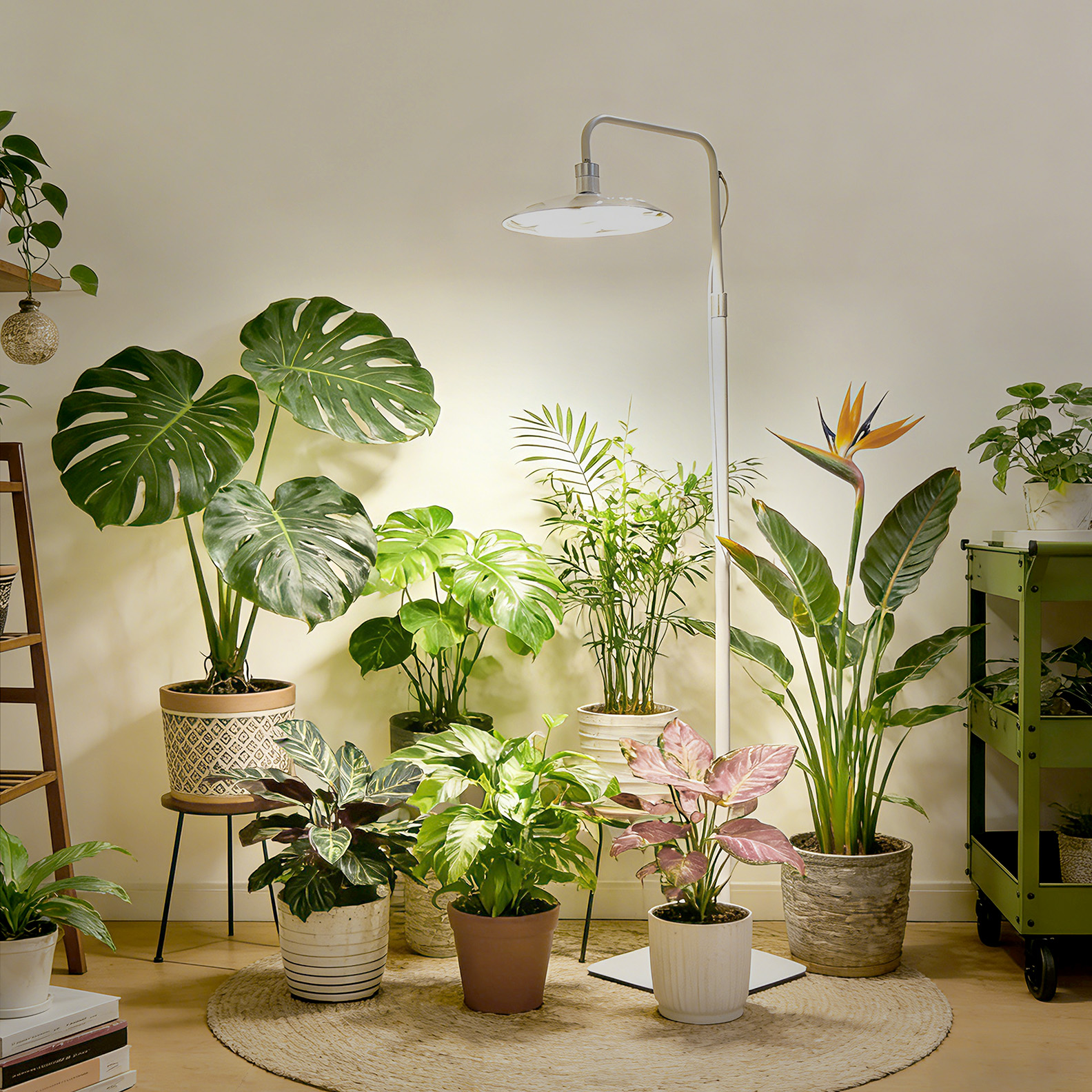 Tall plant grow light illuminating several plants in a living room.