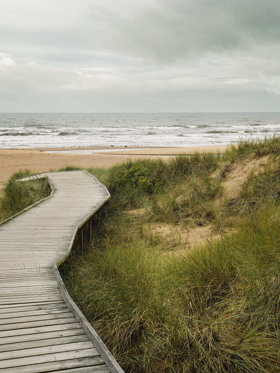 beach pathway