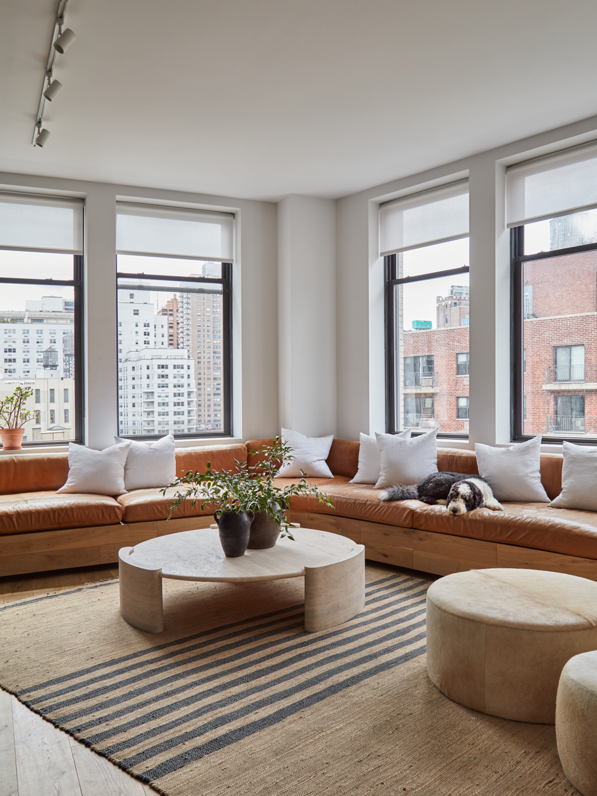 living room with large windows and large, custom leather sofas