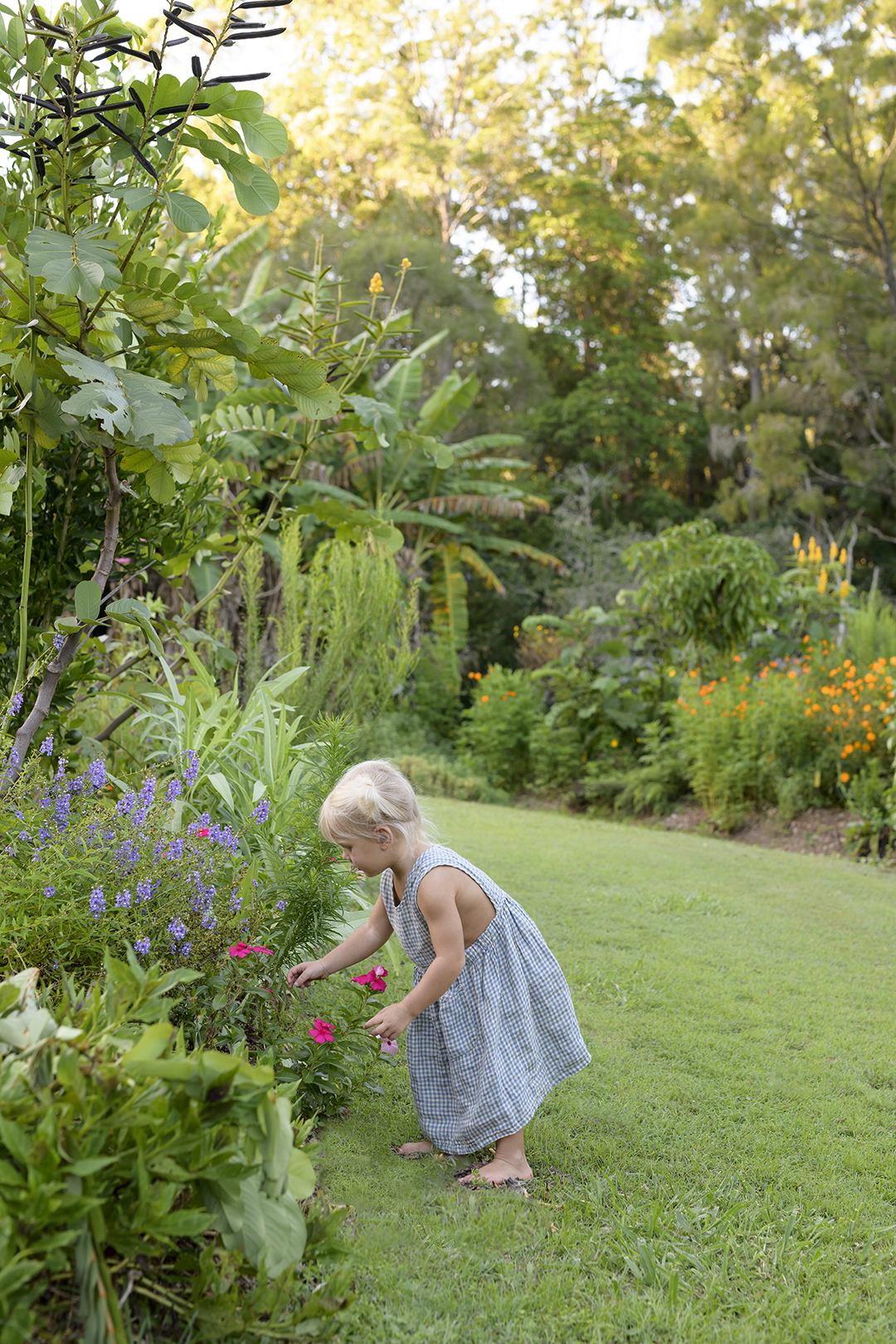 child picking flowers in a yard