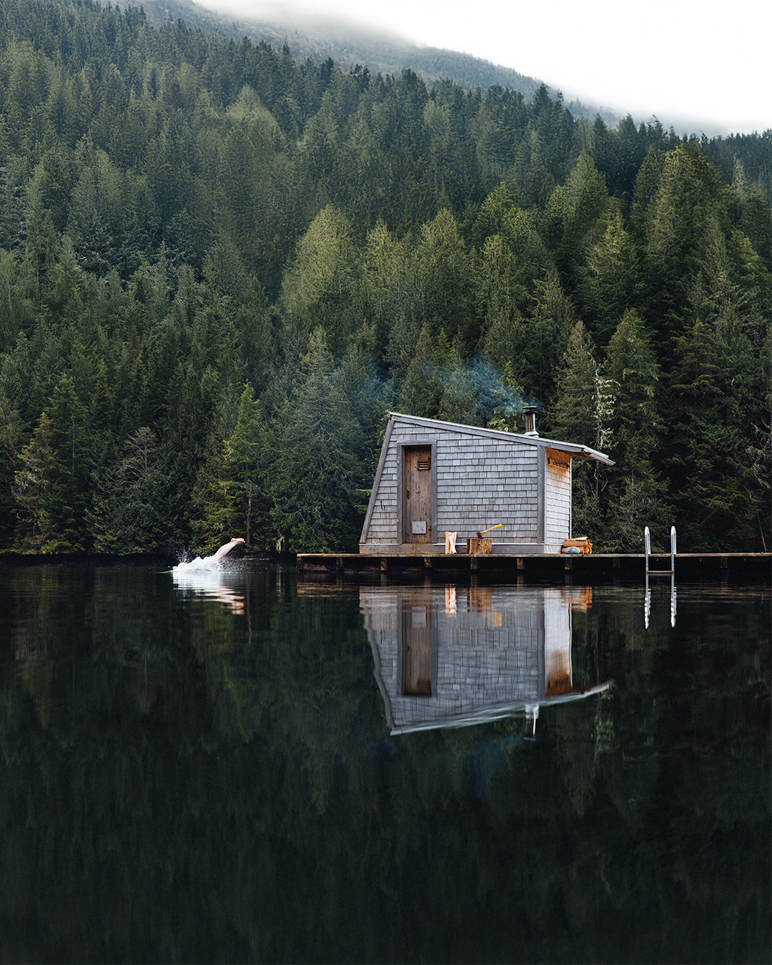 Ridiculously-Good-Looking-Saunas-Book-excerpt-domino-1