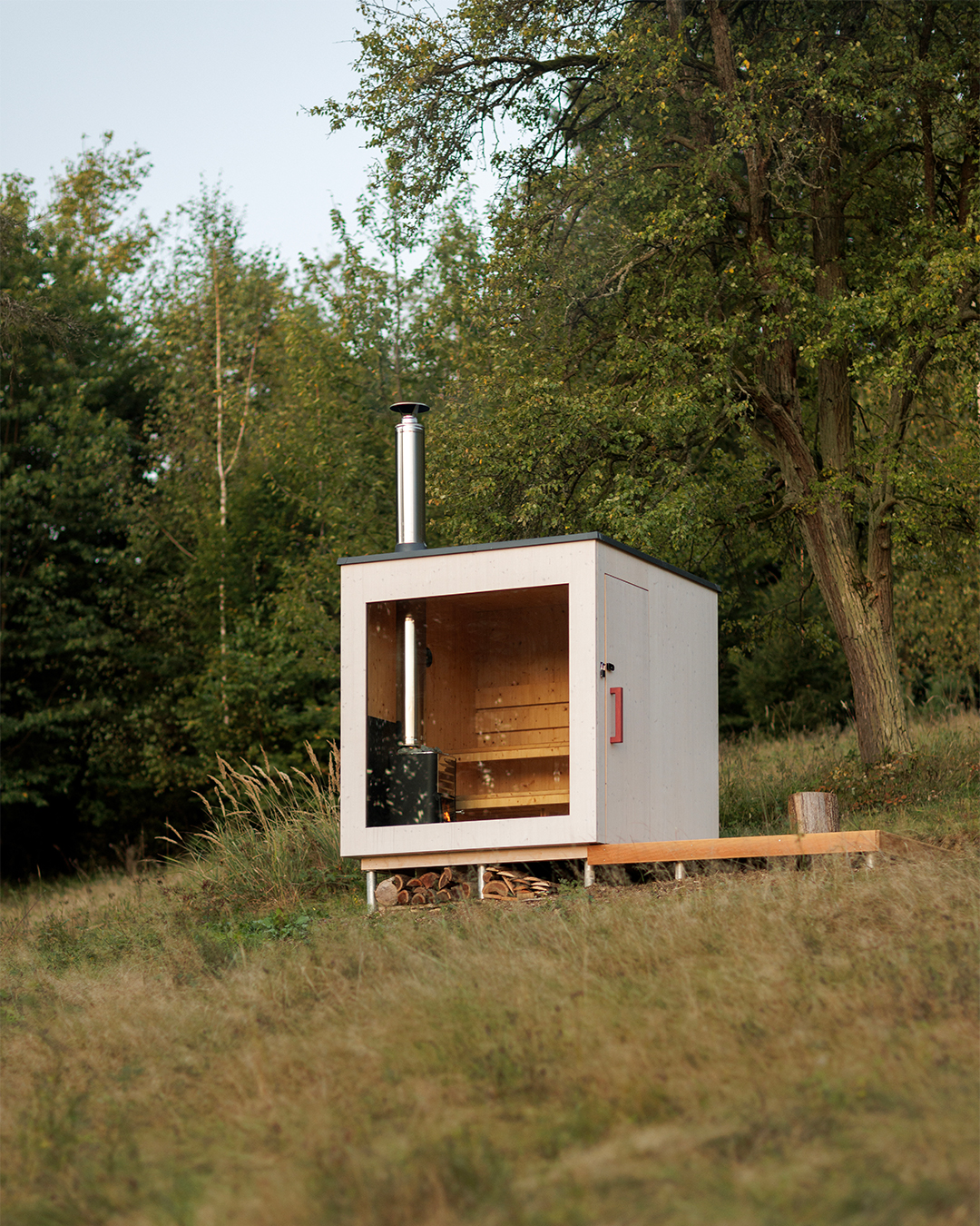 Ridiculously-Good-Looking-Saunas-Book-excerpt-domino-3