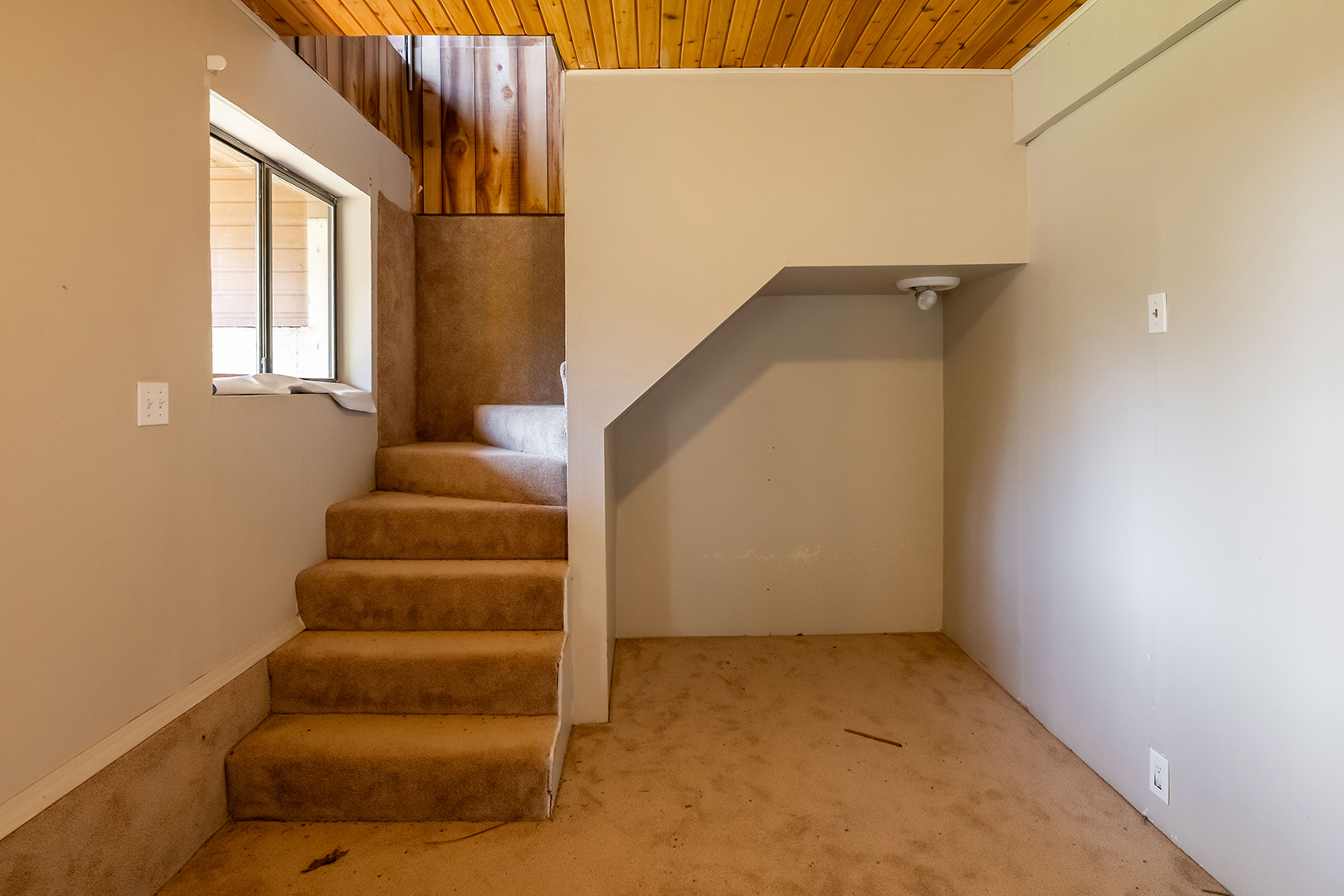 empty space with tan carpet before renovation