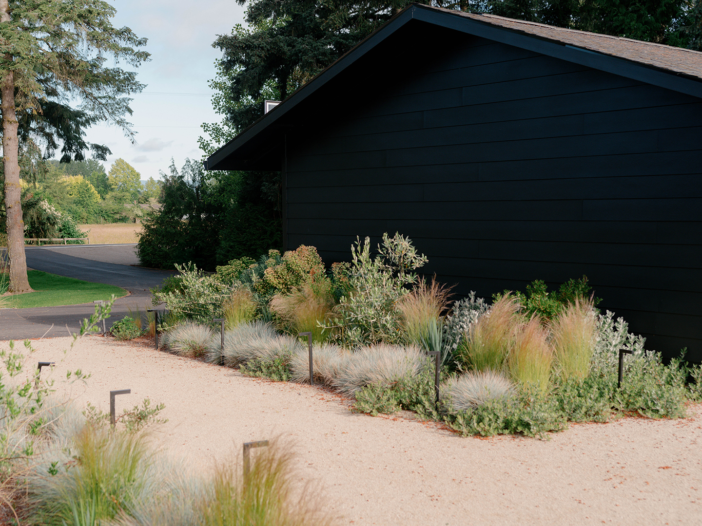 walkway beside a lush bed of flowers and grasses by a black house