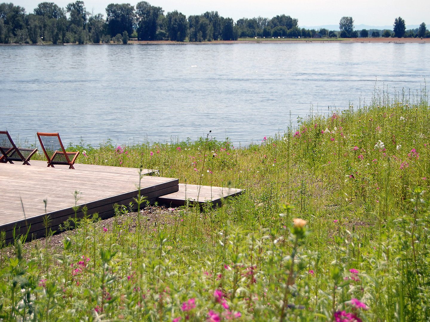 platform with chairs in a field of flowers by a river