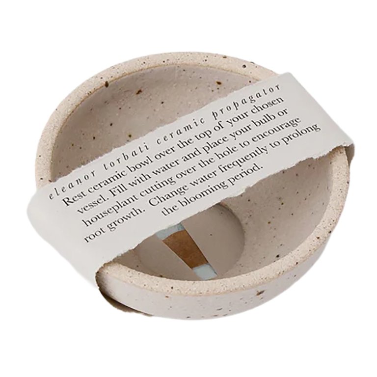 small ceramic plant propagator