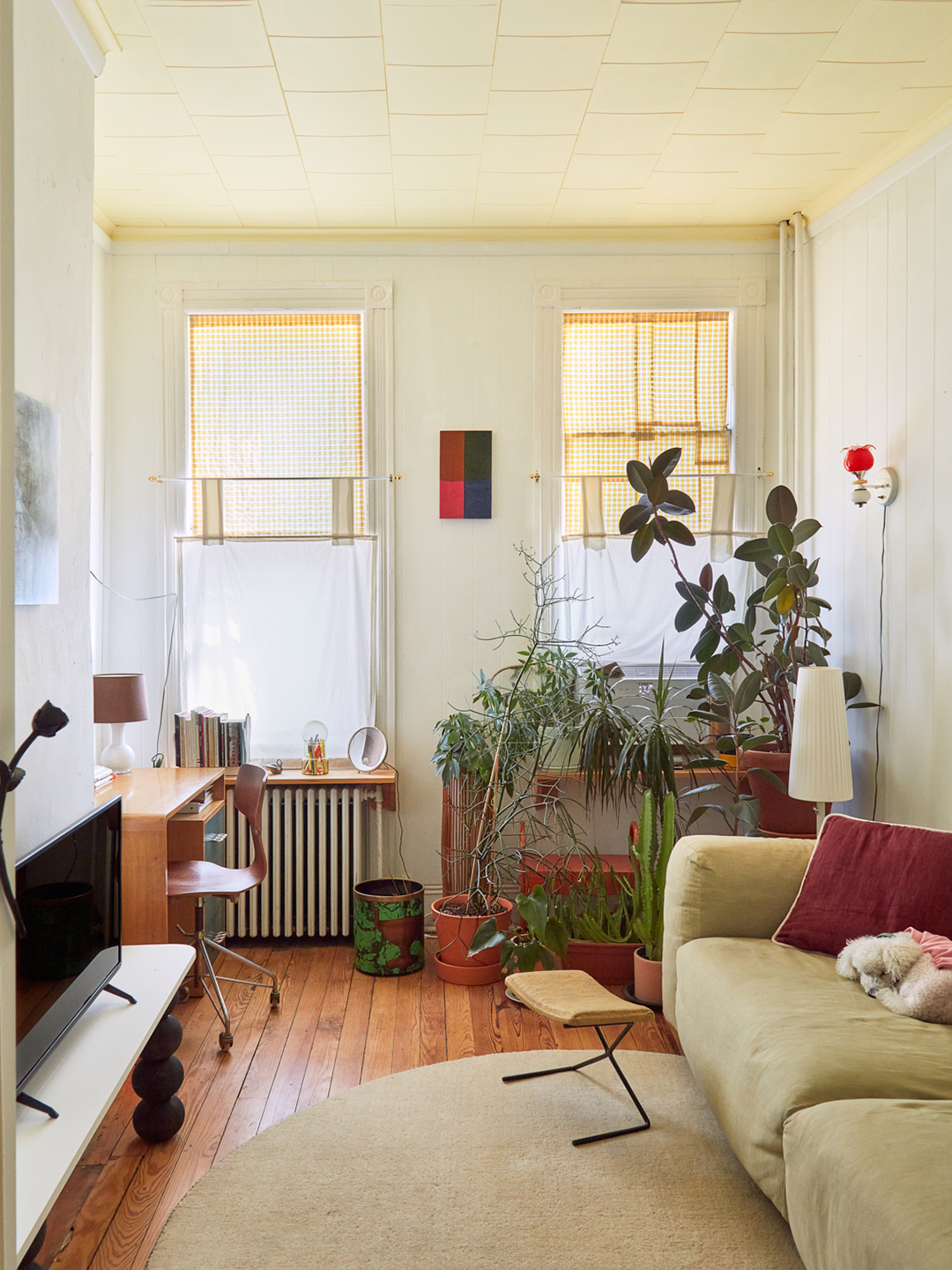 living room with two windows and lots of plants