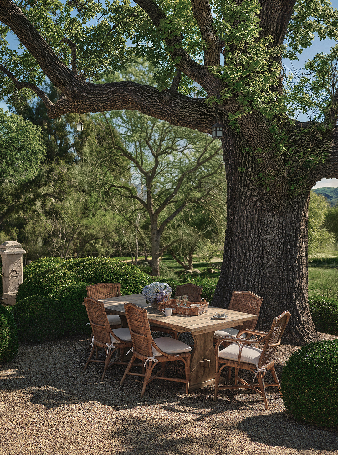 a table and six chairs outside under a large tree
