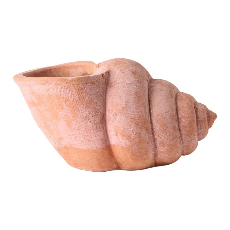 shell-shaped flower pot