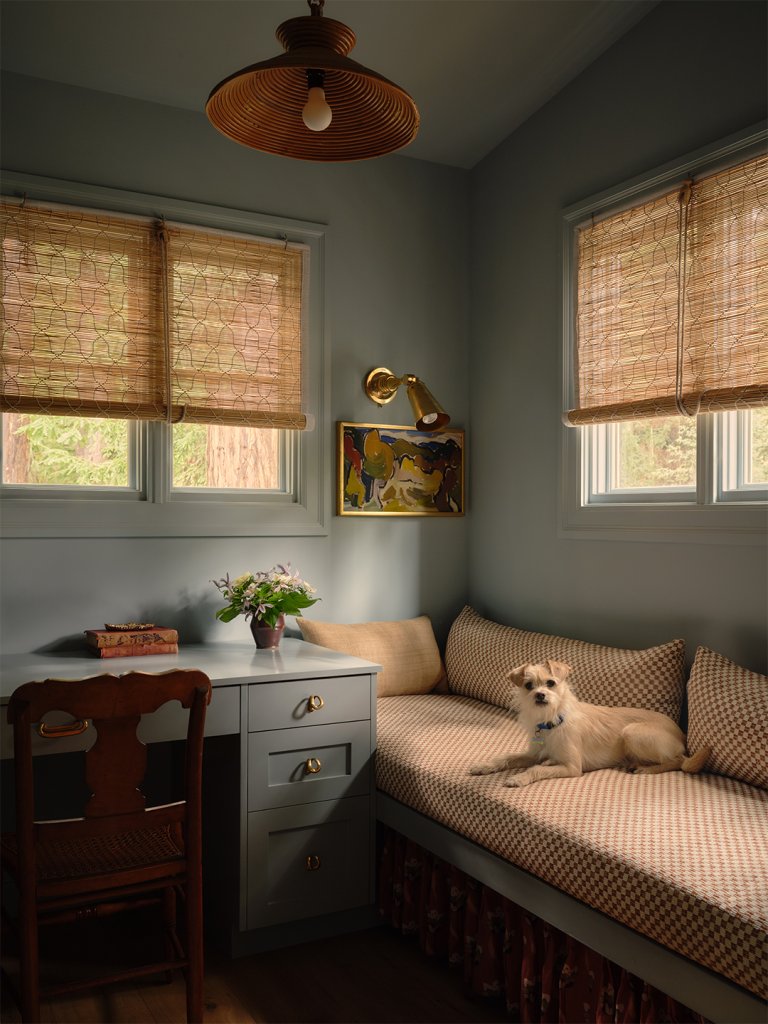 office space with blue walls, desk, and bench with dog