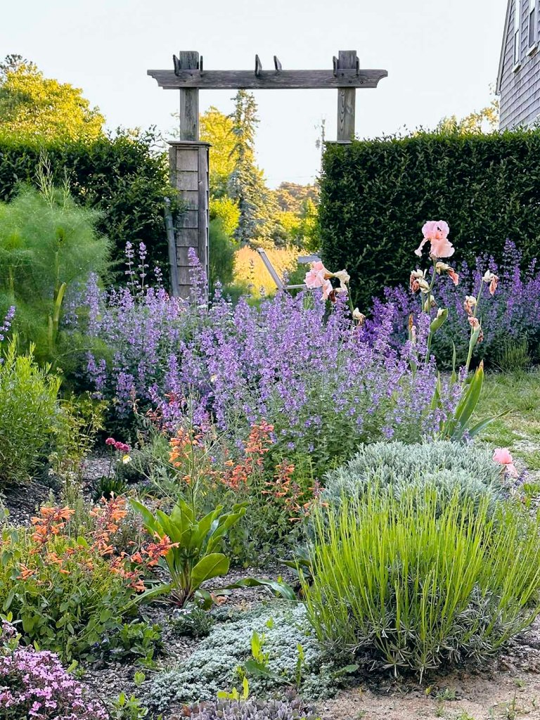 garden with gravel path and colorful plantings