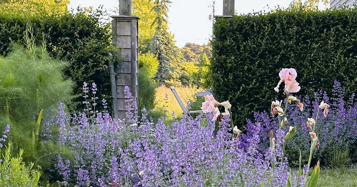 This Beginner-Friendly Garden Style Will Make Your Yard Look Like a Mediterranean Villa