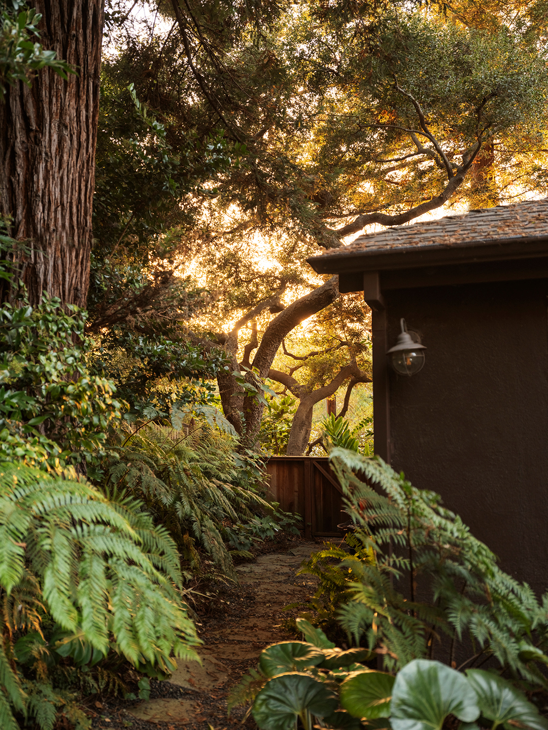 How-to-Get-Your-Yard-Ready-for-Sale-Clear-Paths-domino