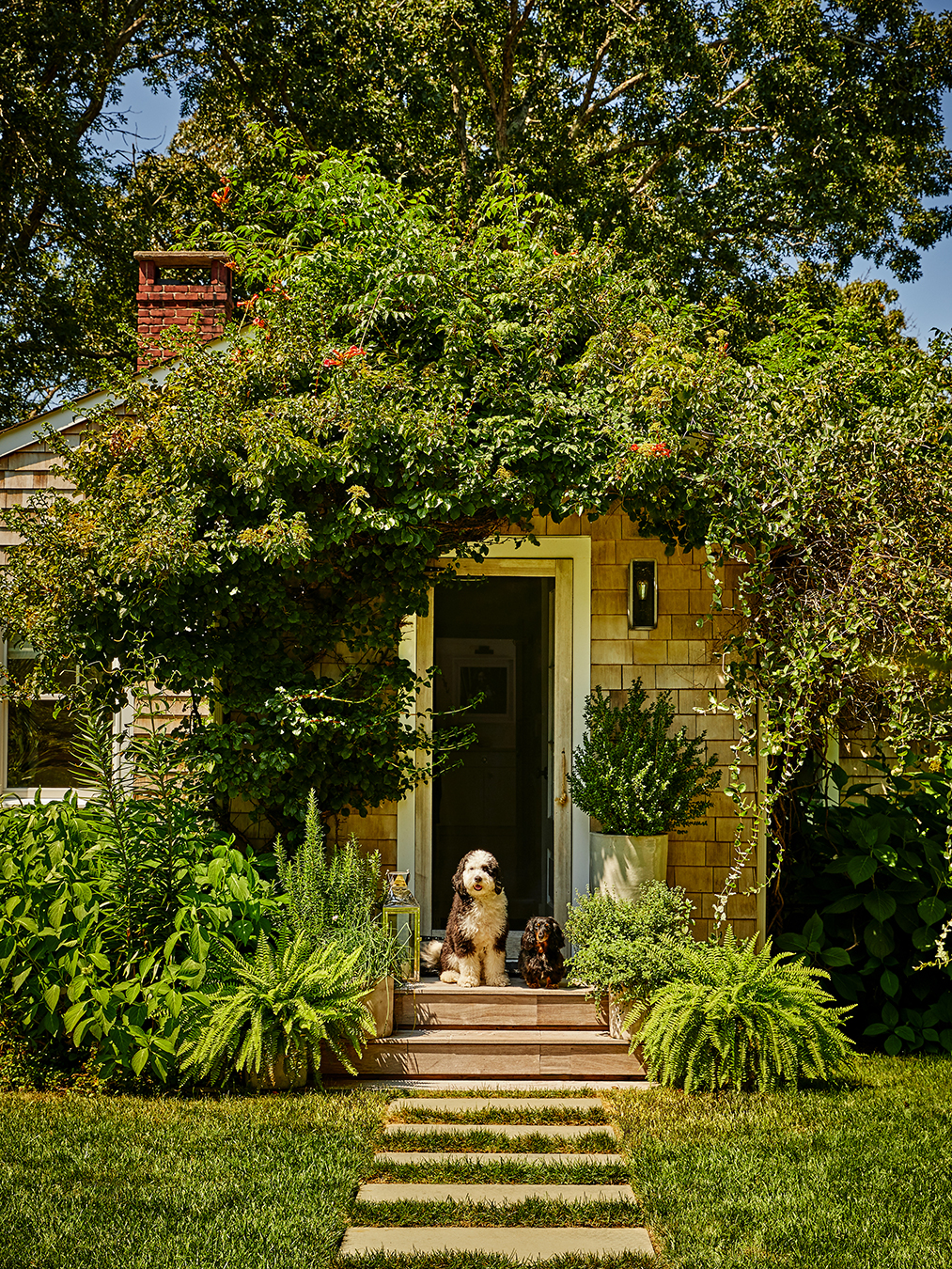 How-to-Get-Your-Yard-Ready-for-Sale-Skip-Mulch-Desert-domino