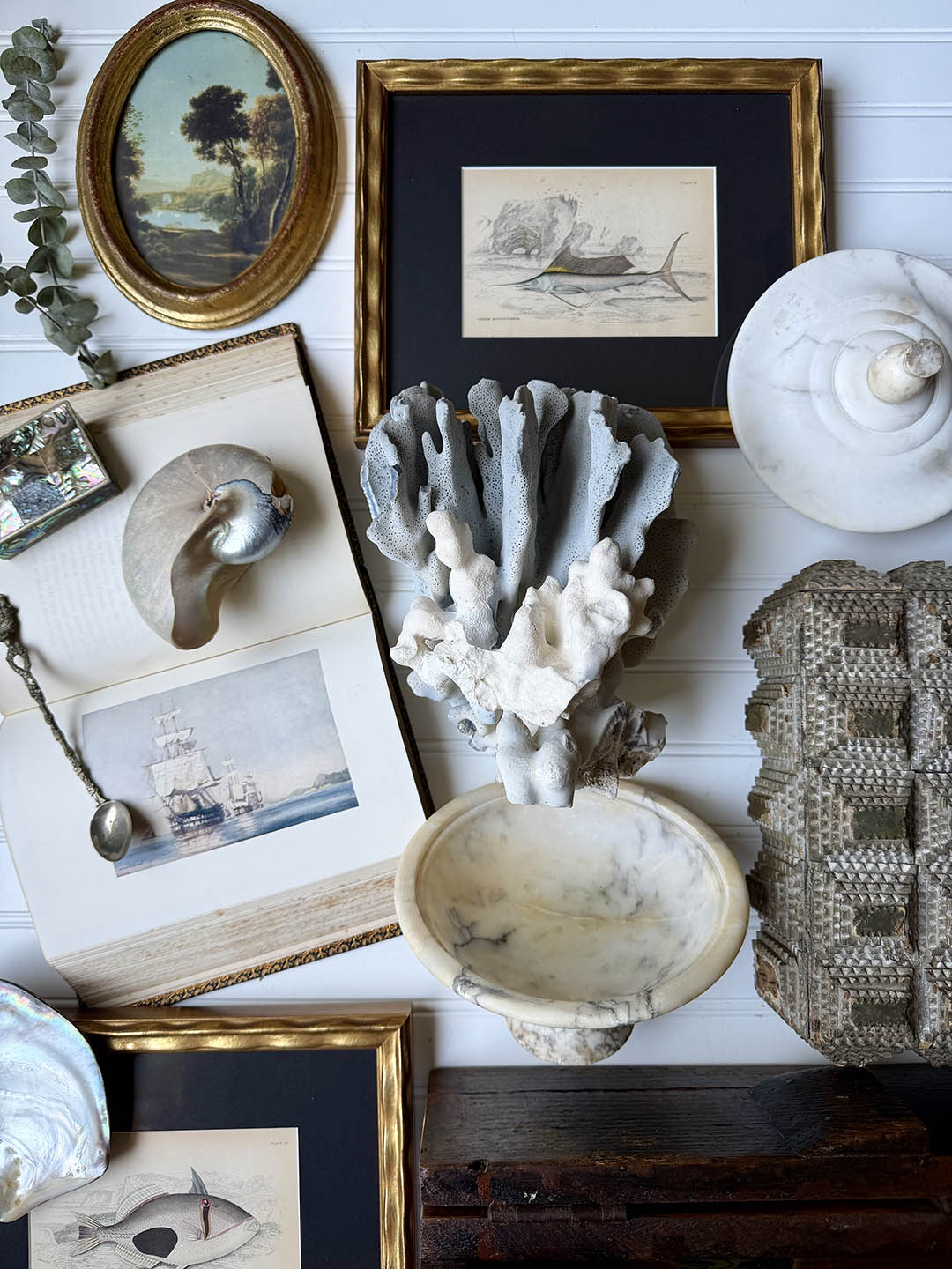 shells, art, and decorative items all white