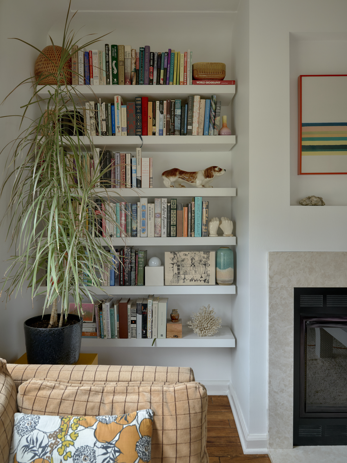 living room corner with bookshelves