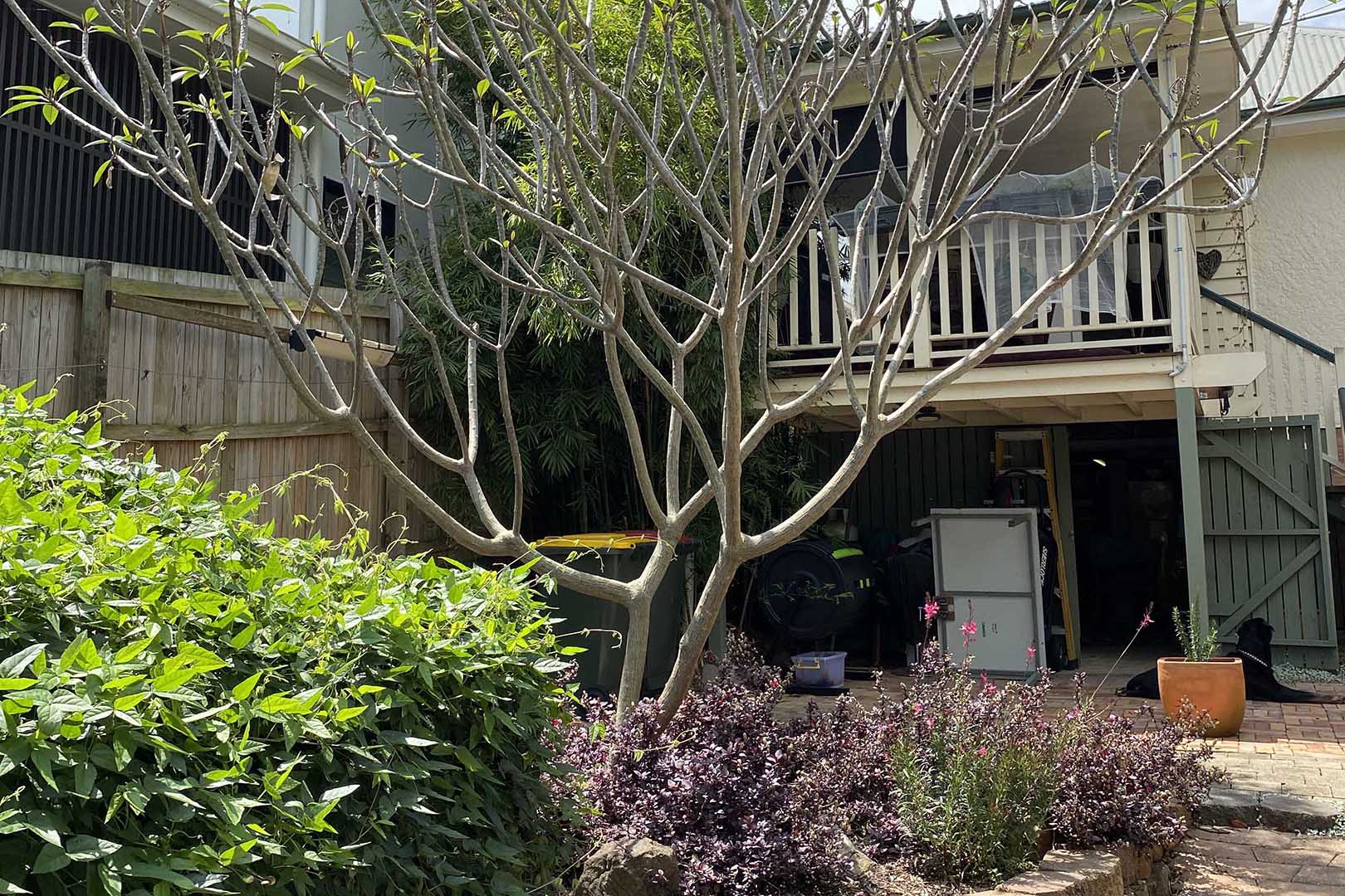 exterior of home, pre-renovation