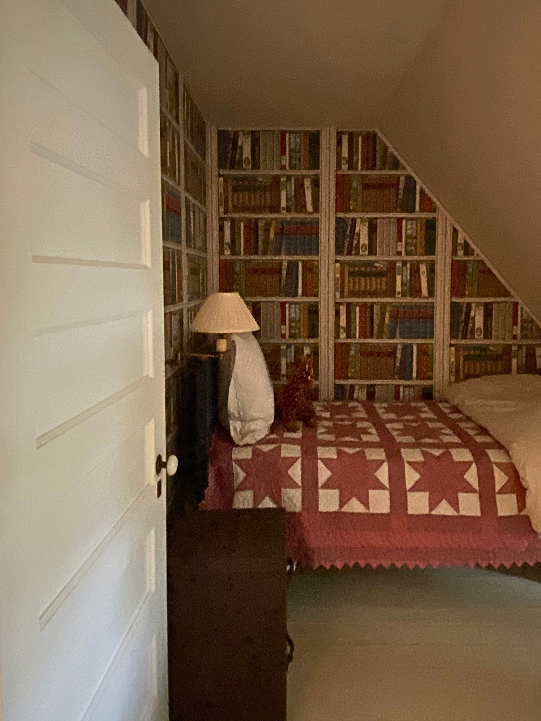 attic room with bookshelf wallpaper