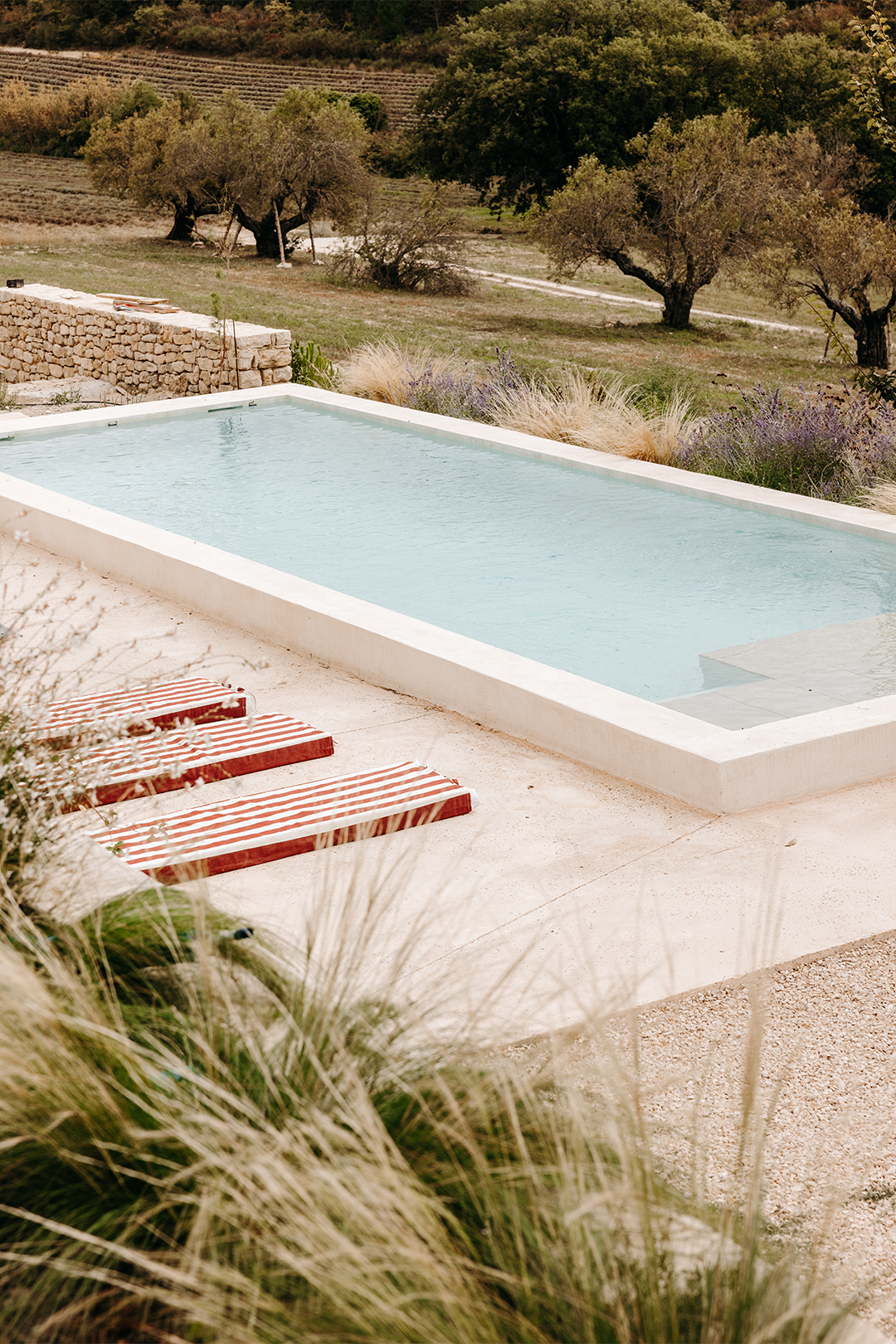 rectangular pool in a green landscape