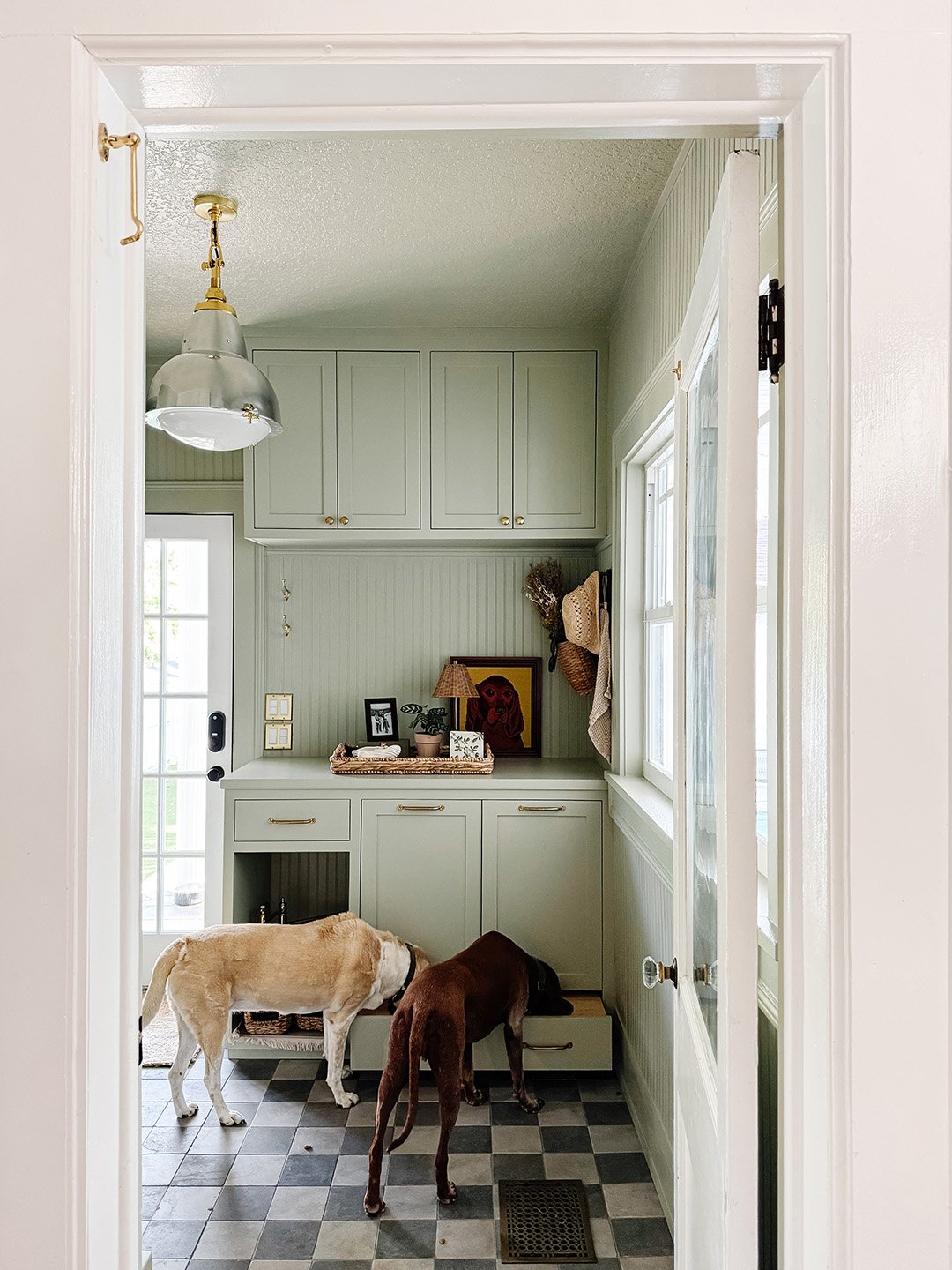 dogs eating out of bowls