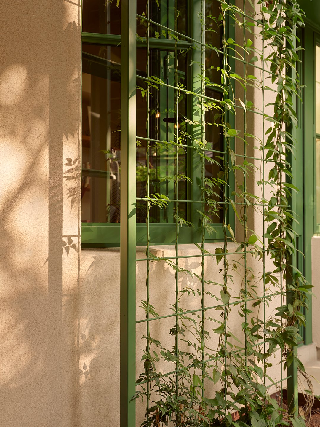 plants on trellis