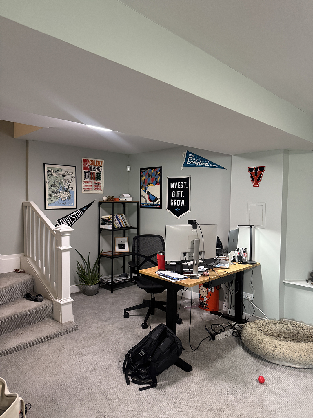 gray carpeted basement