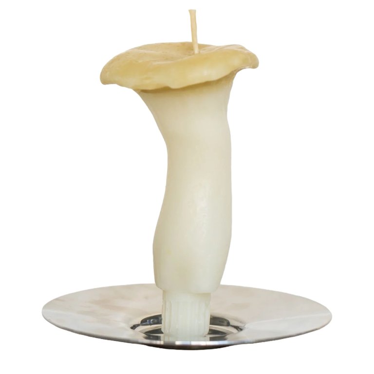 mushroom candle