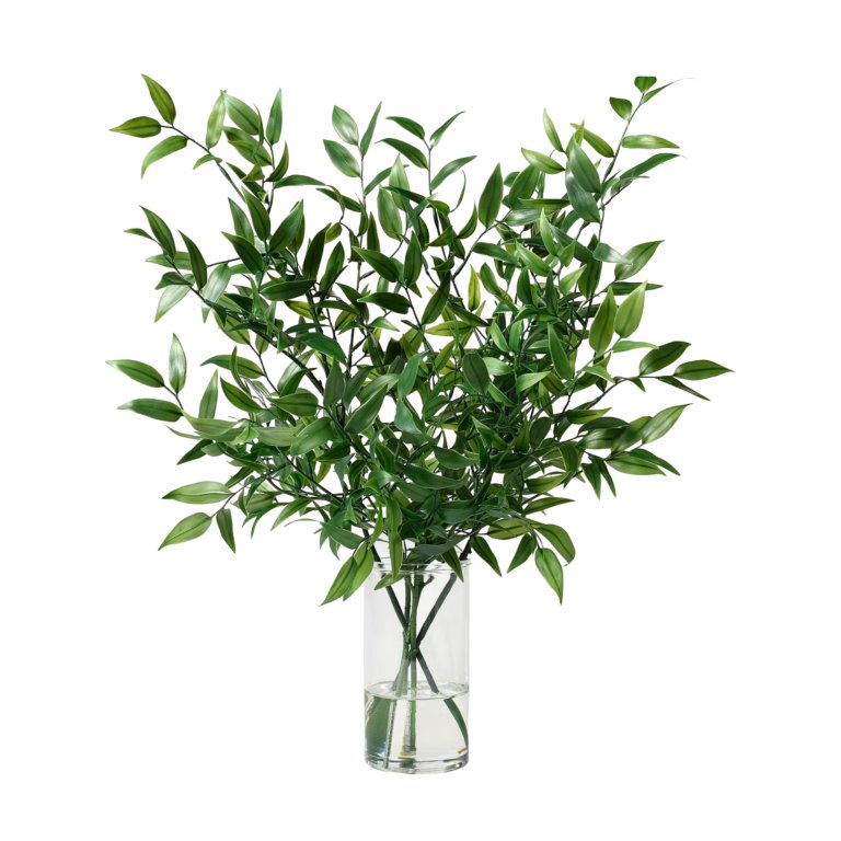 green plant in vase