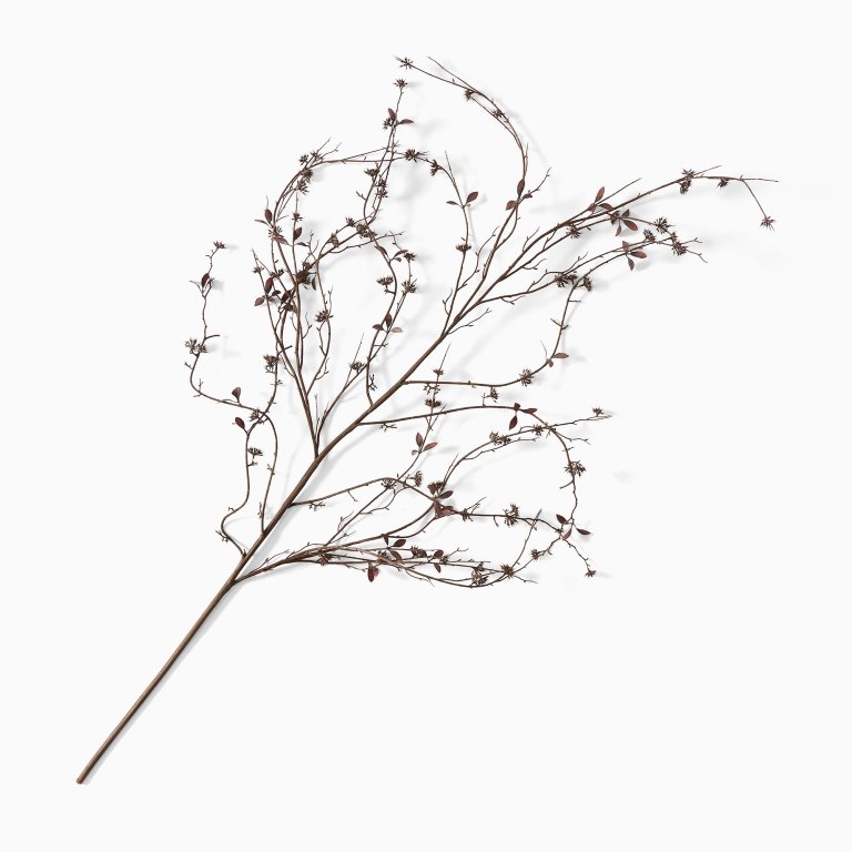 wispy branches