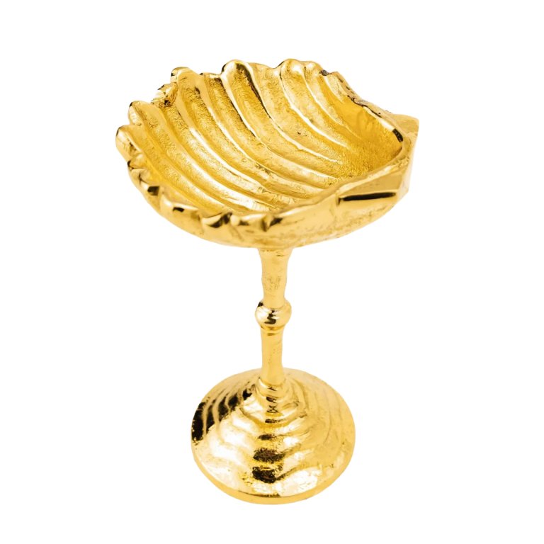 shell cup