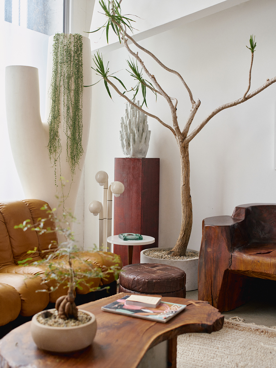 living room with plants and furniture